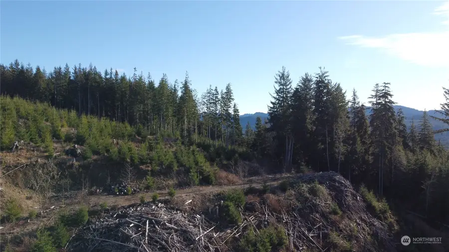 0 E Lake Pleasant Road #Lot 1, Beaver, WA 98305 - Image #2