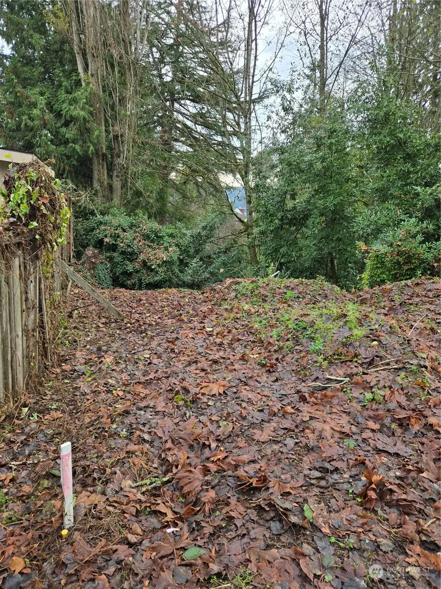 14014 41st Avenue Ne, Seattle, WA 98125 - Image #2