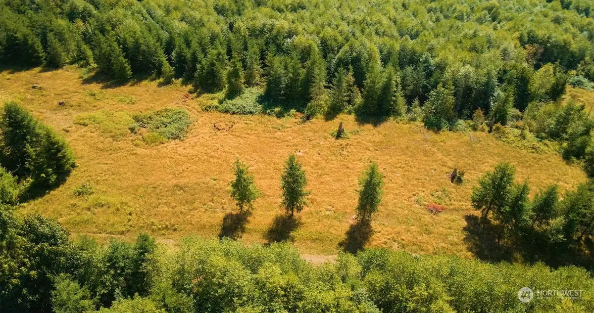 304 Dream View Lane, Cinebar, WA 98533 - Image #1