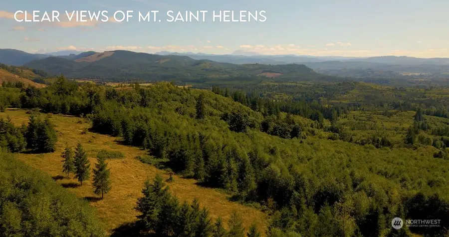 304 Dream View Lane, Cinebar, WA 98533 - Image #2