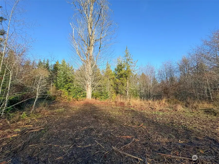 0 N Bagley Creek Road, Port Angeles, WA 98362 - Image #3