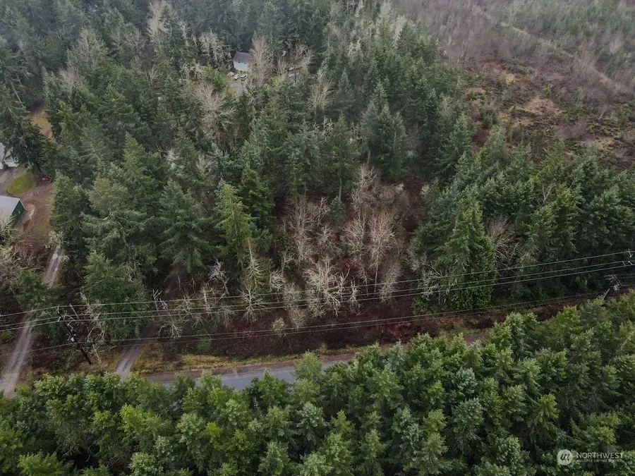 19012 160th Street E, Bonney Lake, WA 98391 - Image #3