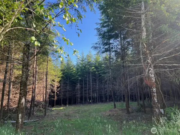 7 Beaver Hill Lane, Montesano, WA 98563