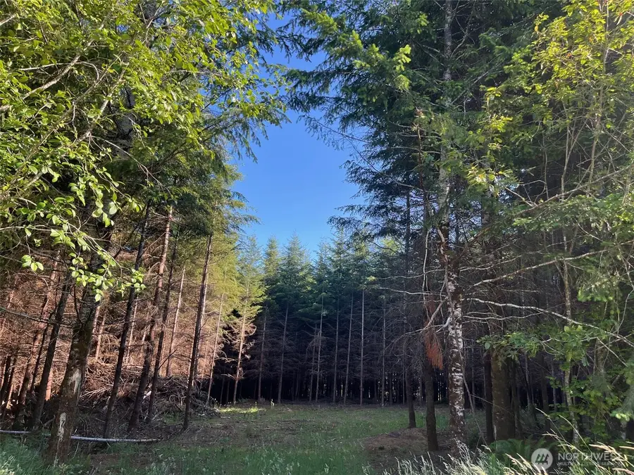 7 Beaver Hill Lane, Montesano, WA 98563 - Image #2