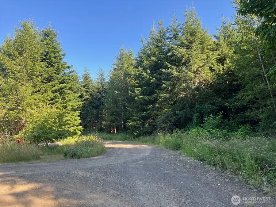 7 Beaver Hill Lane, Montesano, WA 98563 - Image #3