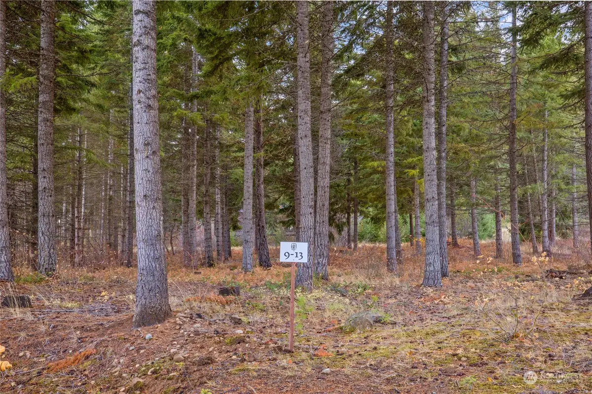 230 Goat Creek Lane #9-13, Cle Elum, WA 98922 - Image #1