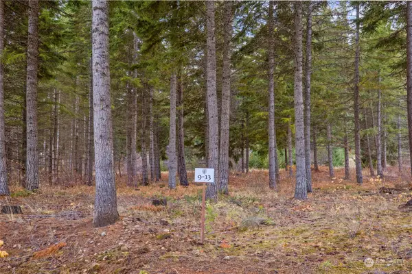 230 Goat Creek Lane #9-13, Cle Elum, WA 98922