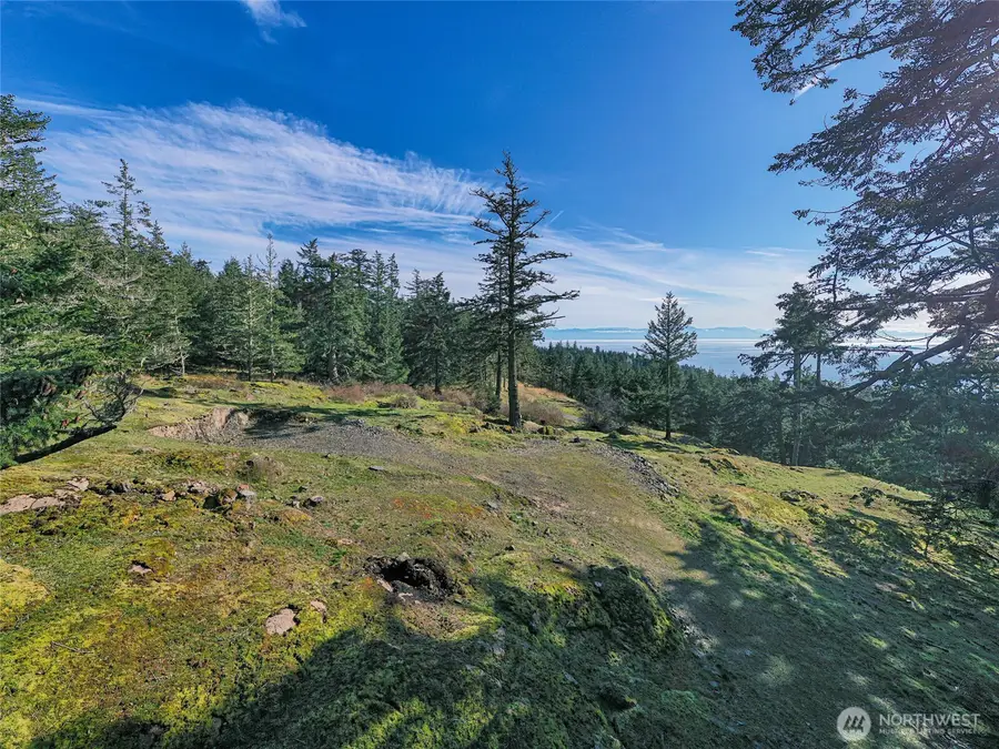 32 Rascal Road, Friday Harbor, WA 98250 - Image #3