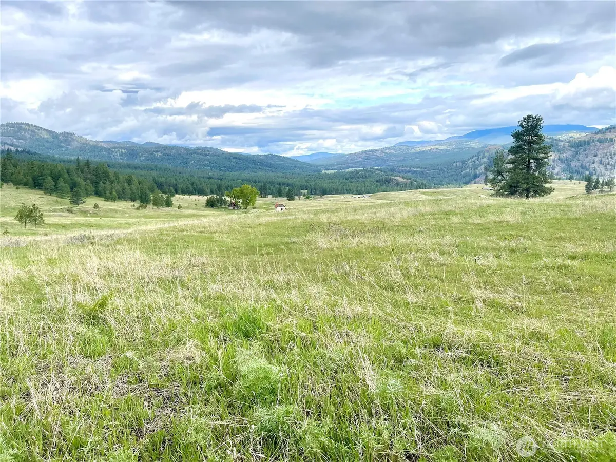 0 A Chopaka Way, Tonasket, WA 98855 - Image #1