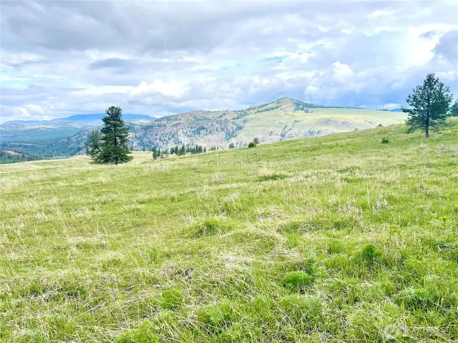 0 A Chopaka Way, Tonasket, WA 98855 - Image #3