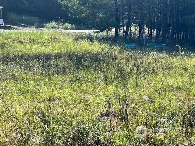 30305 I Street #14, Ocean Park, WA 98640 - Image #2