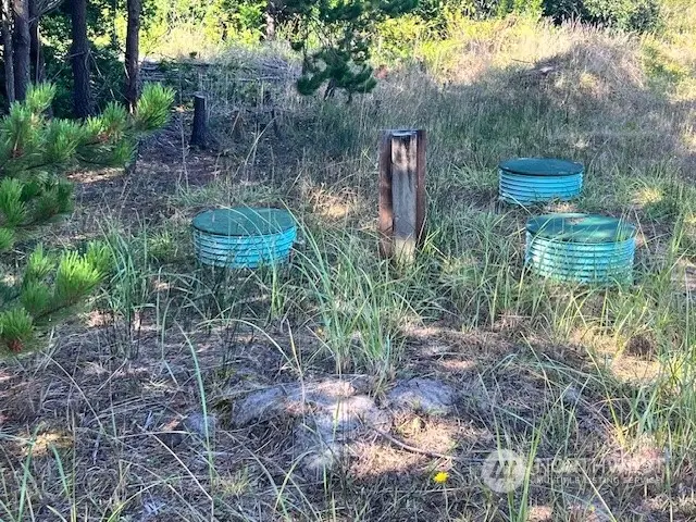 30305 I Street #14, Ocean Park, WA 98640 - Image #3