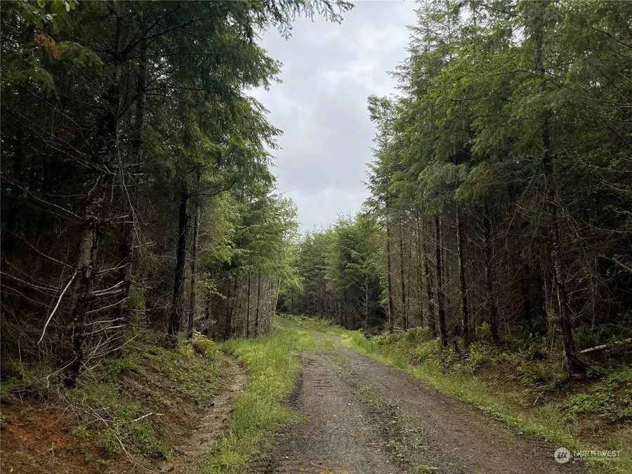 3 Centralia Alpha Road #53041Hb0069, Onalaska, WA 98570 - Image #3