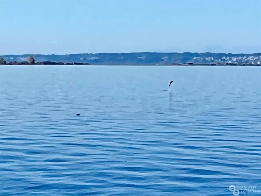 0 Drayton Harbor Road, Blaine, WA 98230 - Image #3