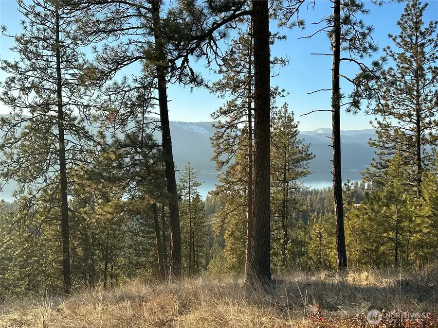 0 Daisy Mine Road, Rice, WA 99167 - Image #2