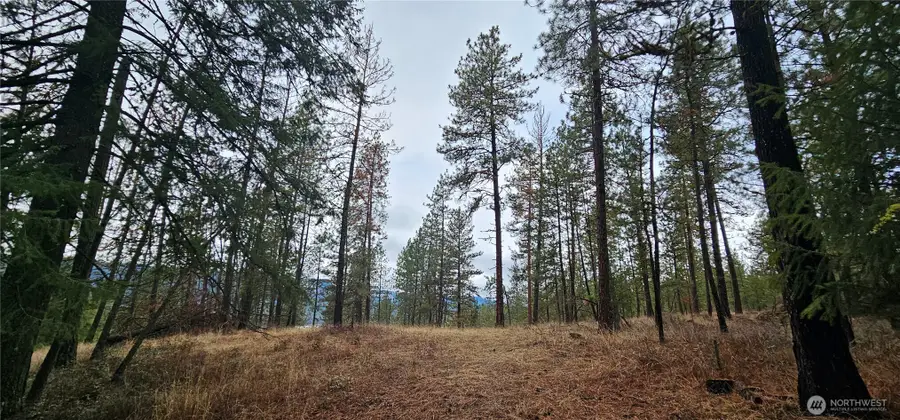 0 Daisy Mine Road, Rice, WA 99167 - Image #3