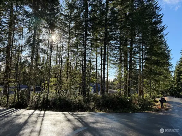 0 Blackberry Lane, Union, WA 98592