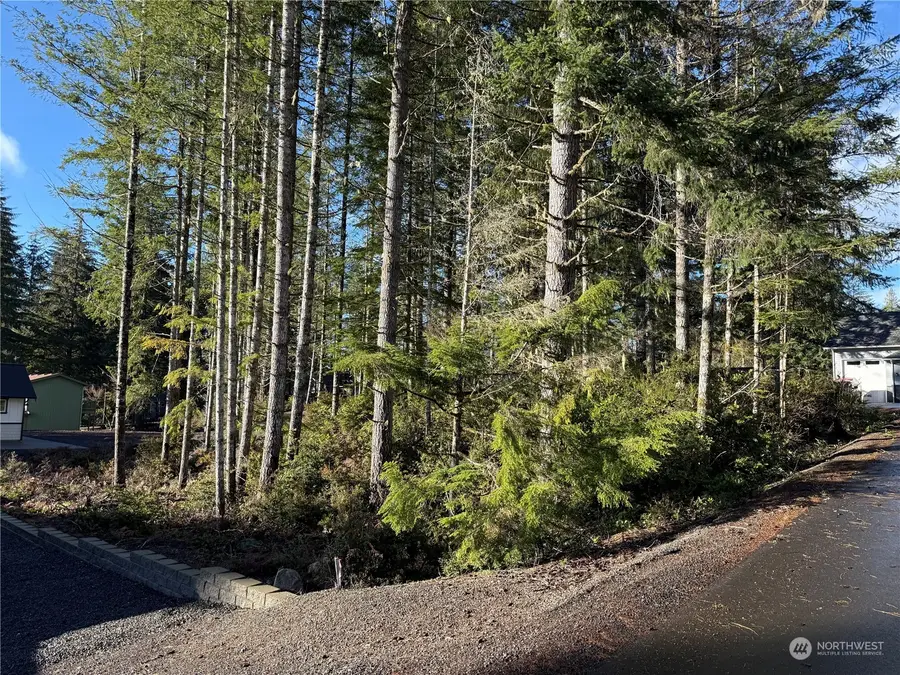 0 Blackberry Lane, Union, WA 98592 - Image #2