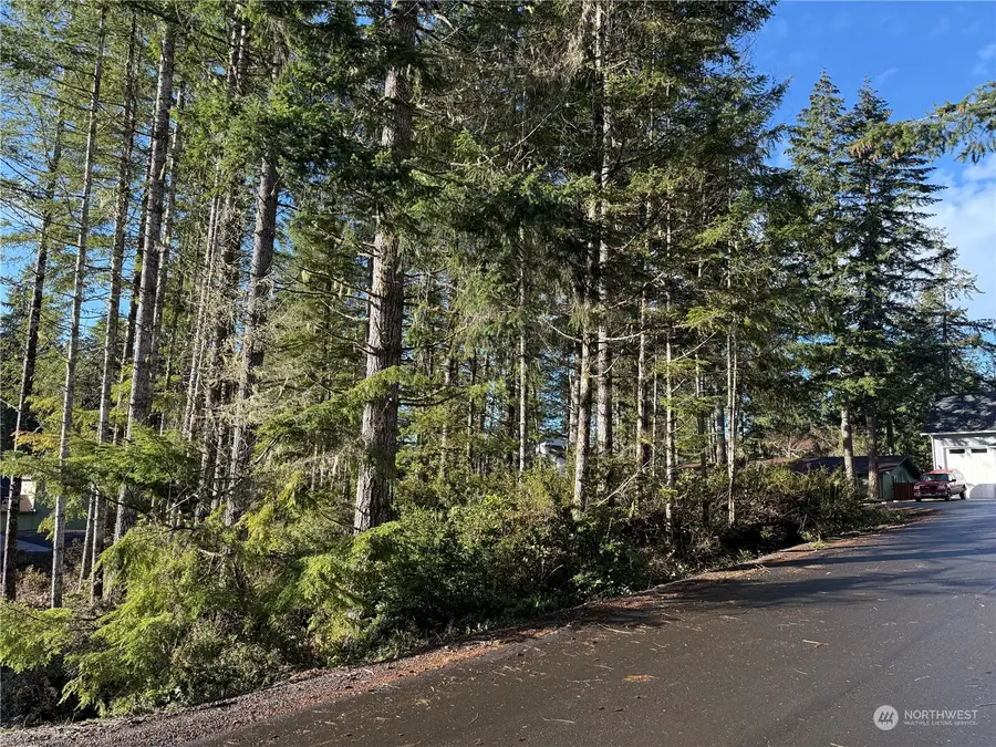 0 Blackberry Lane, Union, WA 98592 - Image #3