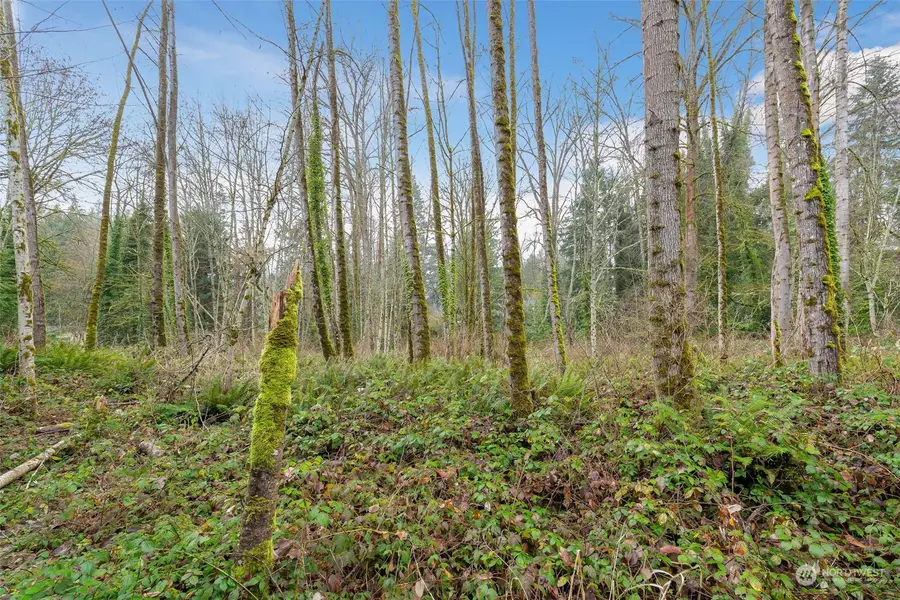 16 Xxx 76th Place Ne, Kenmore, WA 98028 - Image #3