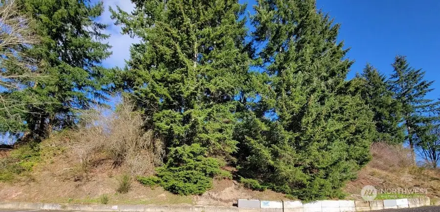 120 Pattison Street Ne, Olympia, WA 98506 - Image #2