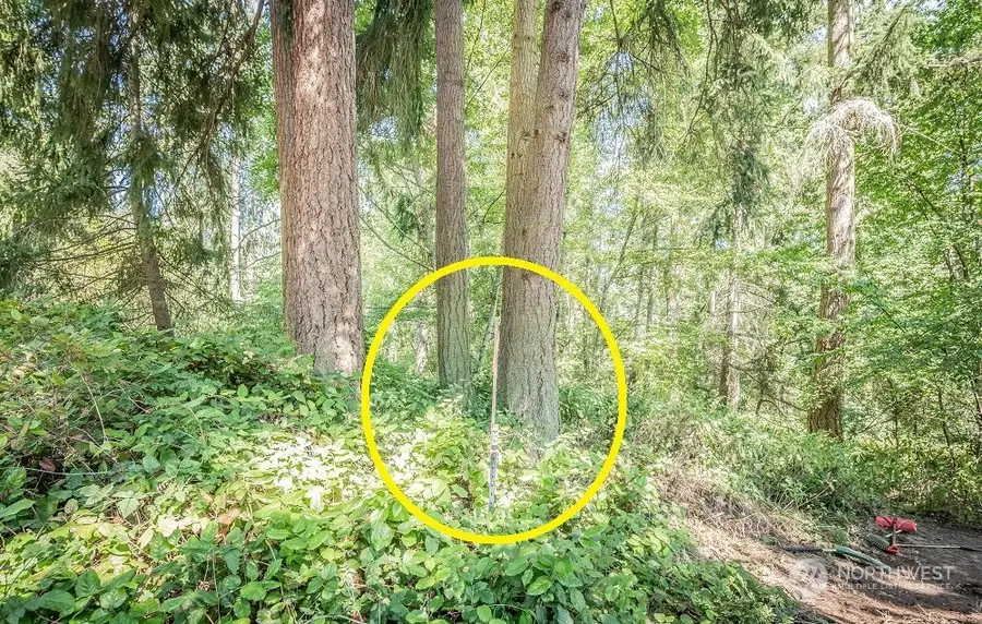 28 Buckhorn Place #LOT 123, Port Townsend, WA 98368 - Image #3