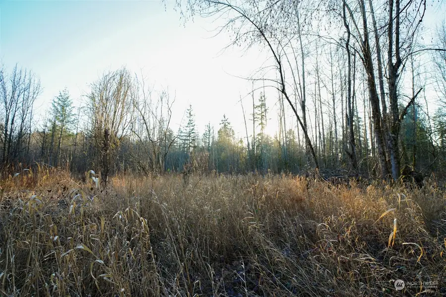 3416 138th Street E, Tacoma, WA 98446 - Image #3