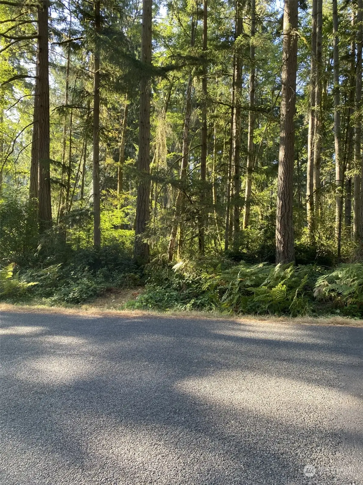 11616 Country Club Drive, Anderson Island, WA 98303 - Image #1