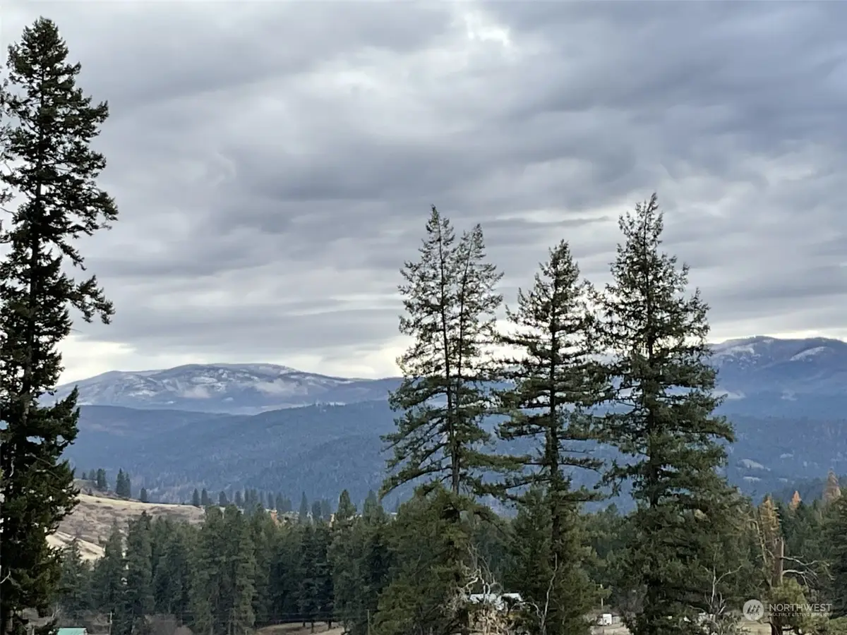 275 Big Goosmus Creek Road, Curlew, WA 99118 - Image #1