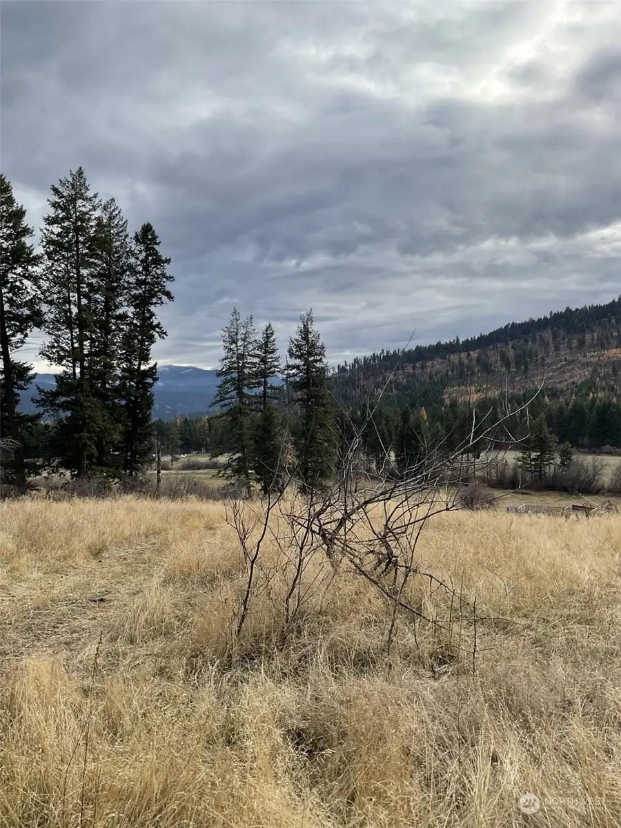 275 Big Goosmus Creek Road, Curlew, WA 99118 - Image #3