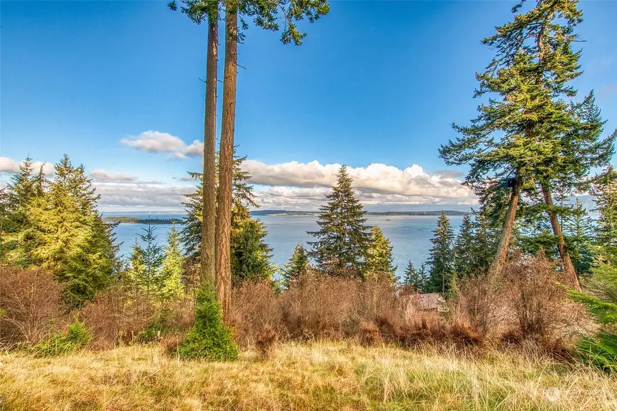 359 Georgia Strait Lane #Lot 32, Olga, WA 98245 - Image #2