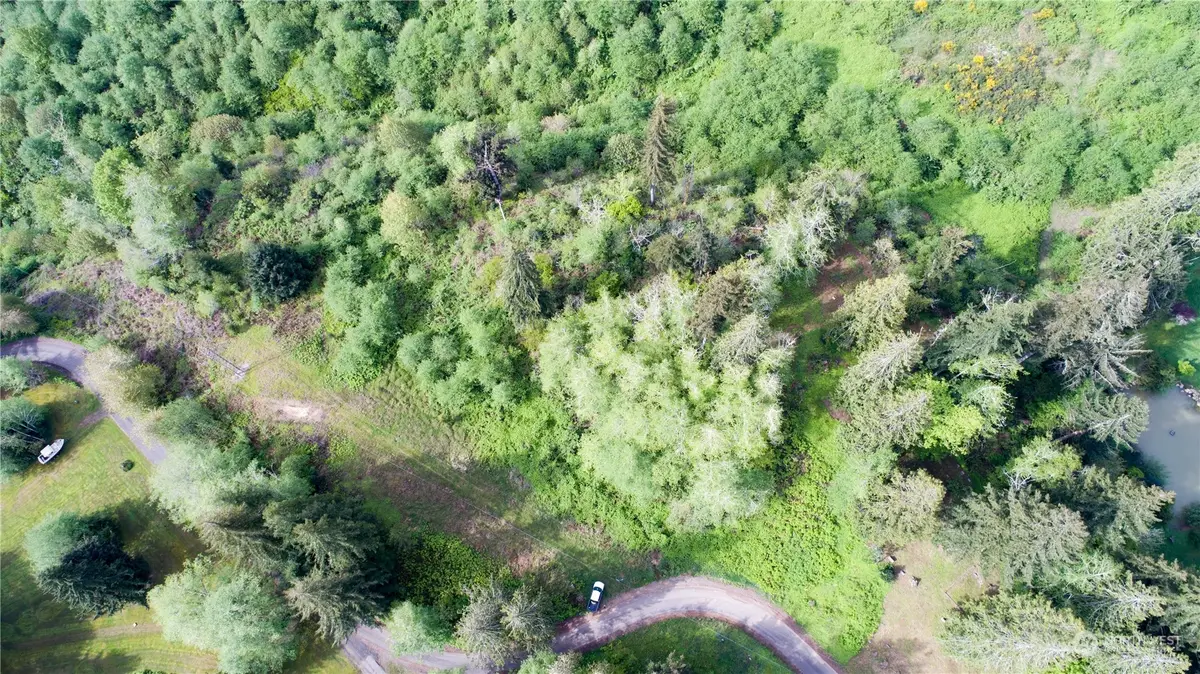 1111 Washington Cemetery Road, Raymond, WA 98577 - Image #1