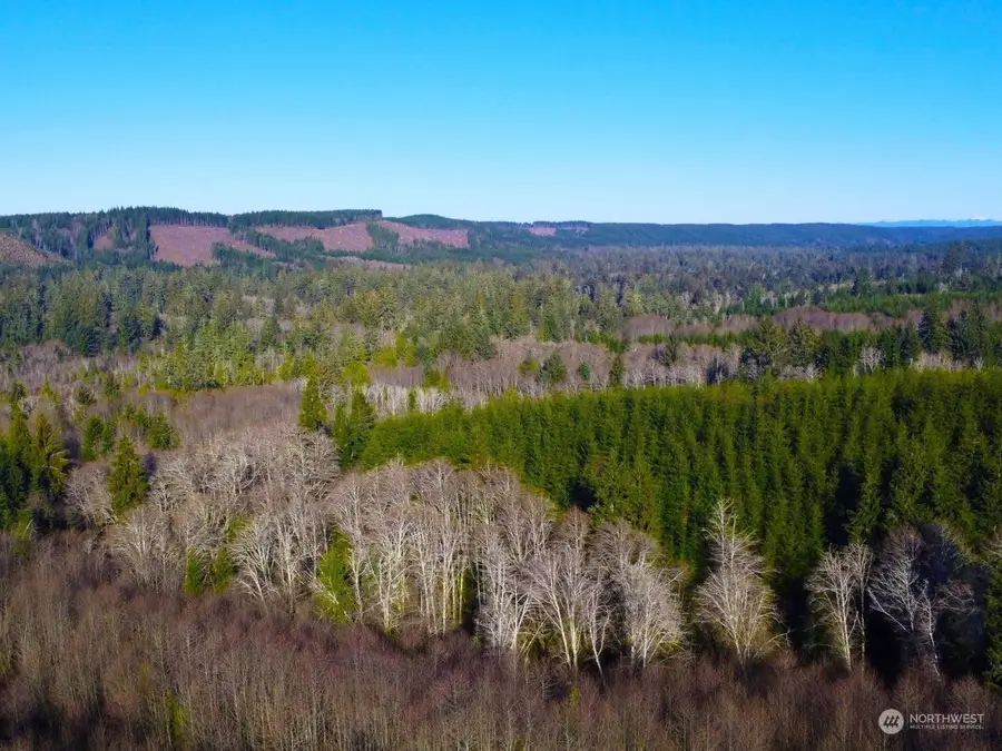 0 Sanderling Drive, Hoquiam, WA 98550 - Image #3