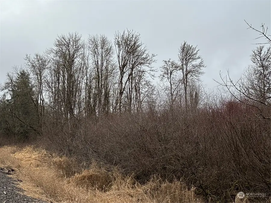 24 Howard Avenue, Centralia, WA 98531 - Image #2