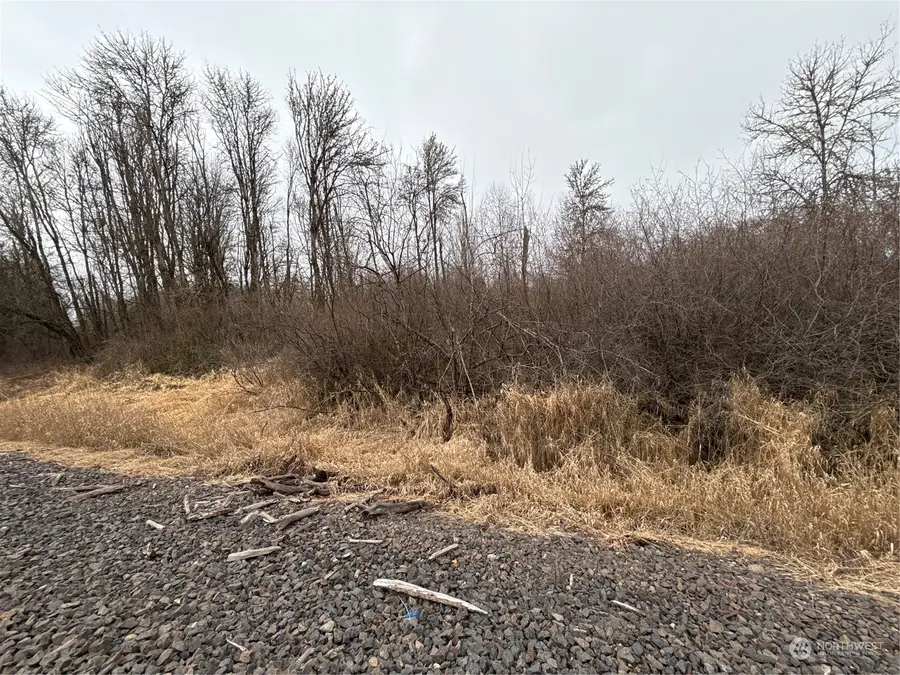 24 Howard Avenue, Centralia, WA 98531 - Image #3