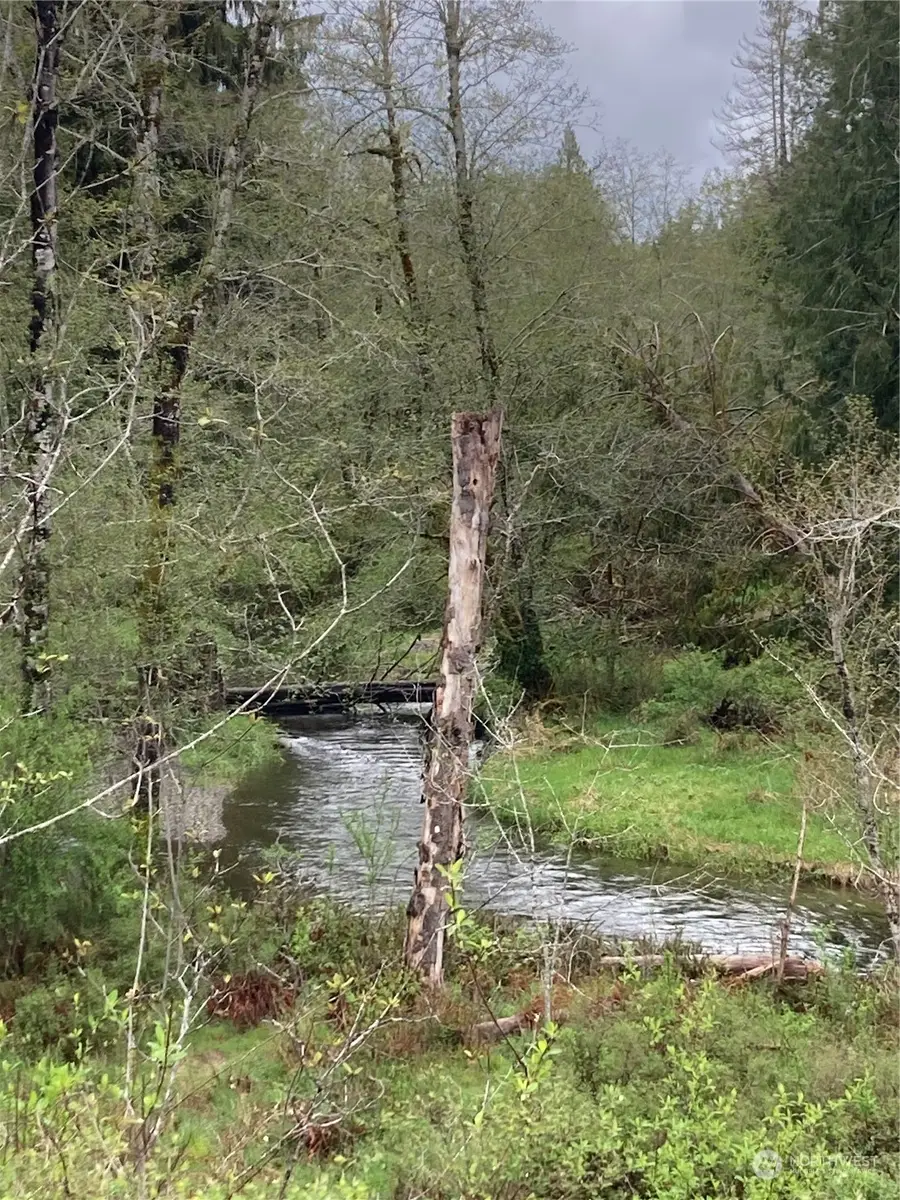 0 East Of Bingham Creek, Elma, WA 98541 - Image #3