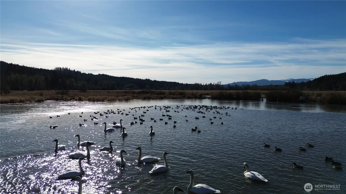 0 Lincoln Creek Road, Rochester, WA 98579 - Image #1