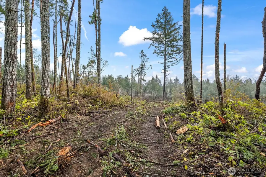 1809 208th Avenue Sw, Lakebay, WA 98349 - Image #2