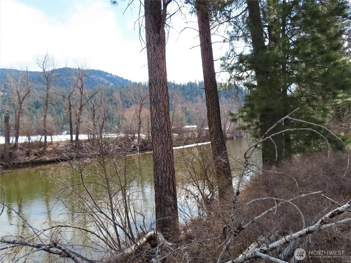 0 Highway 21 N #Lot 8, Danville, WA 99121 - #1