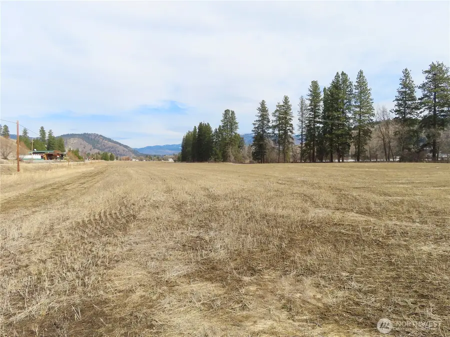 0 Highway 21 N #Lot 8, Danville, WA 99121 - #3