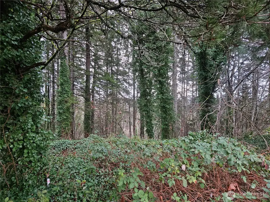 321 NE Barbara Boulevard #98, Belfair, WA 98528 - Image #2