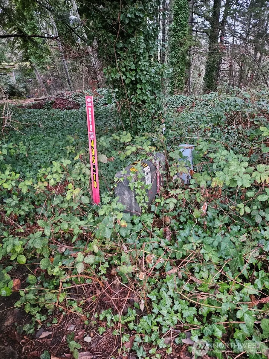 321 NE Barbara Boulevard #98, Belfair, WA 98528 - Image #3