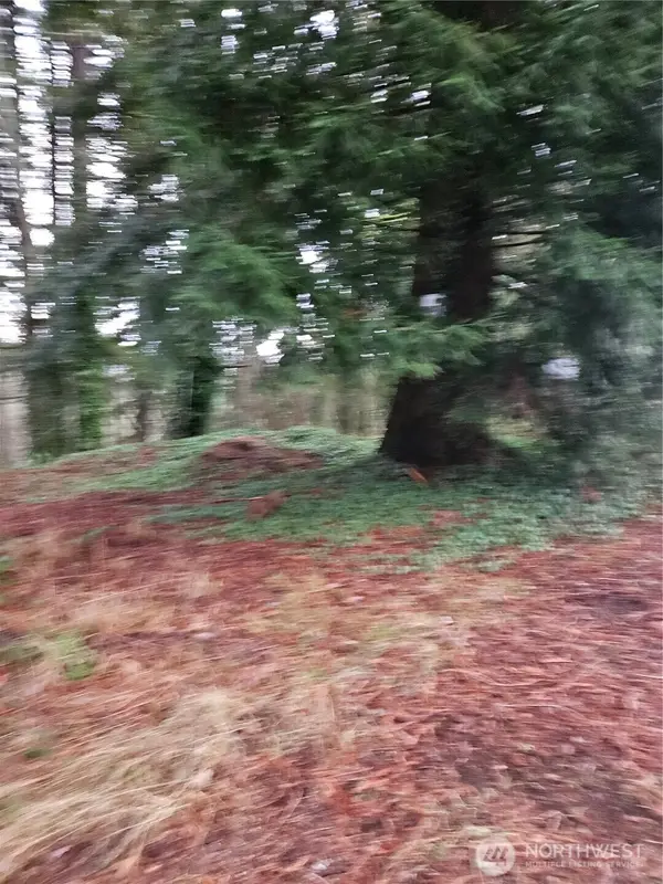 323 NE Barbara Boulevard #99, Belfair, WA 98528