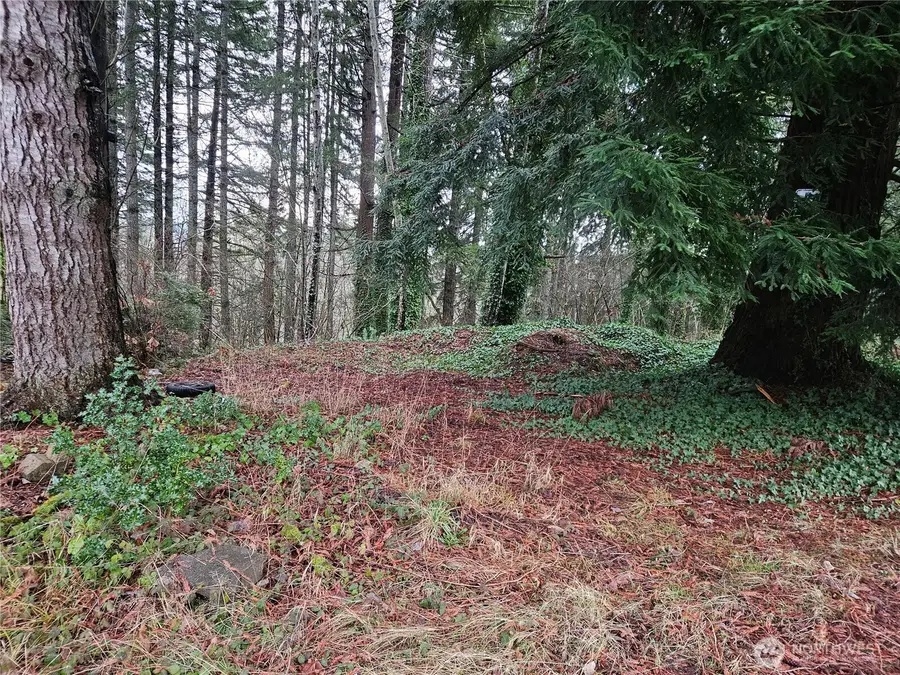 323 NE Barbara Boulevard #99, Belfair, WA 98528 - Image #2