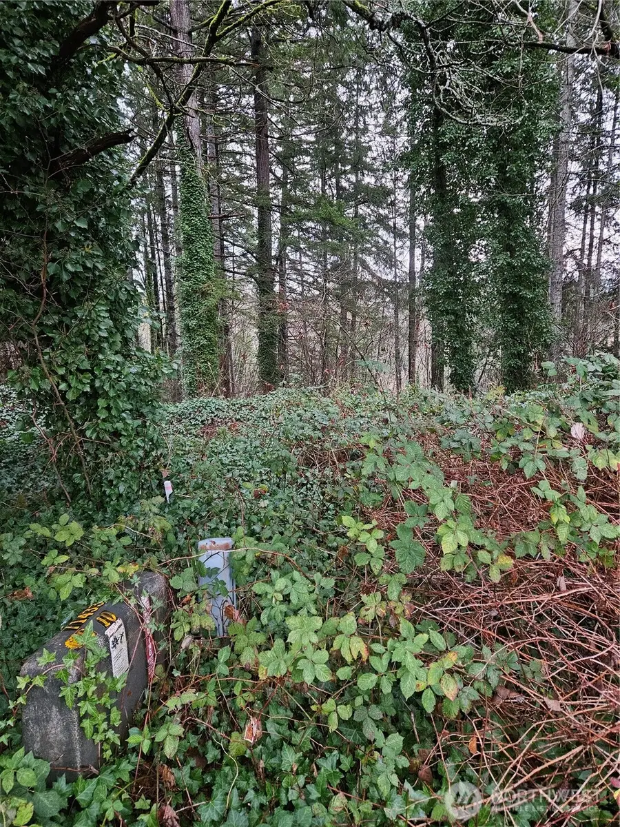 323 NE Barbara Boulevard #99, Belfair, WA 98528 - Image #3