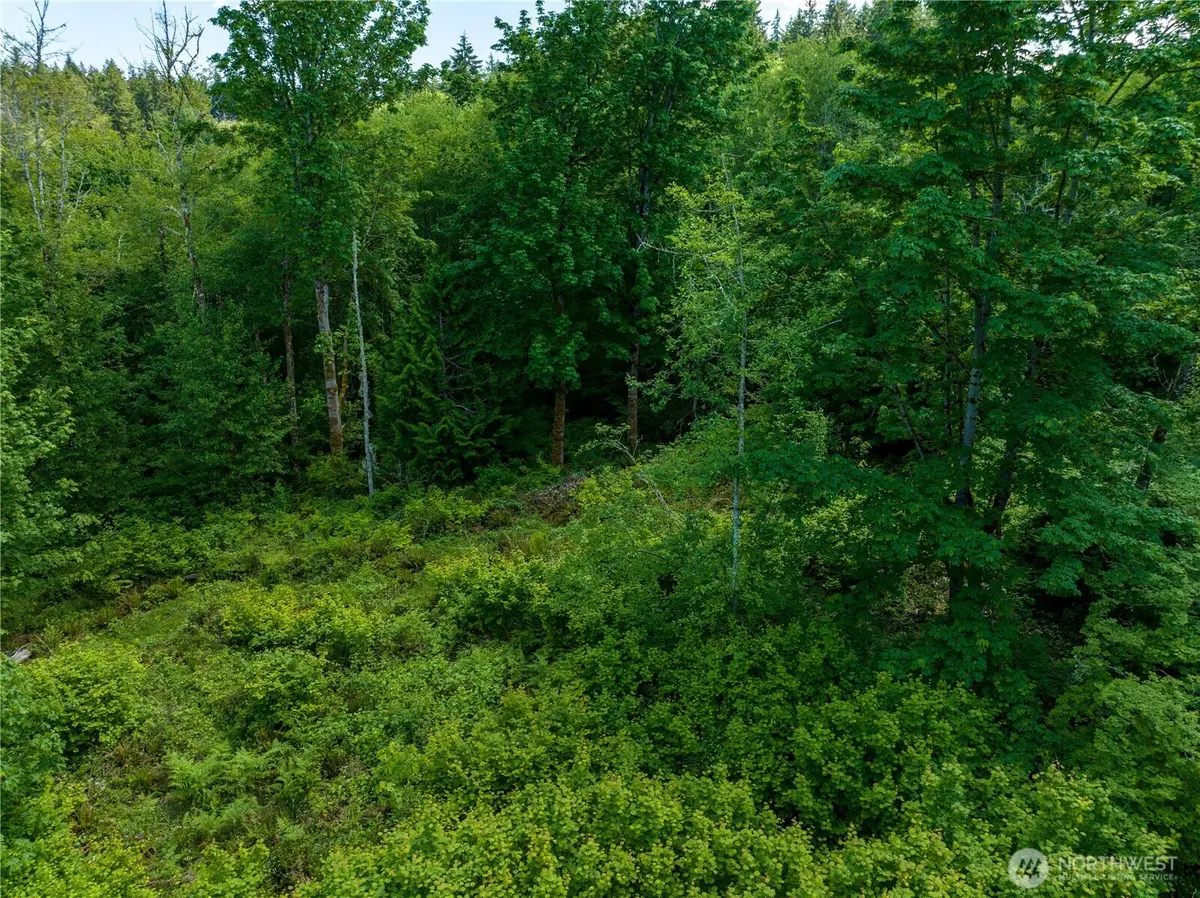 0 Valley Ridge Road, Chehalis, WA 98532 - Image #1