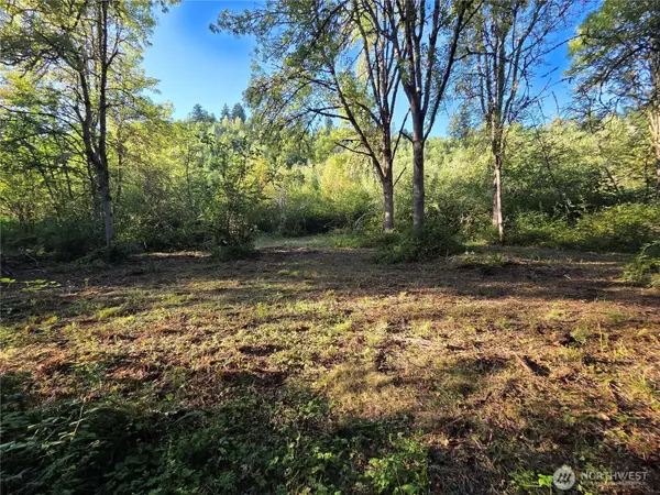 4057 Us Hwy 12 #51, Mossyrock, WA 98564