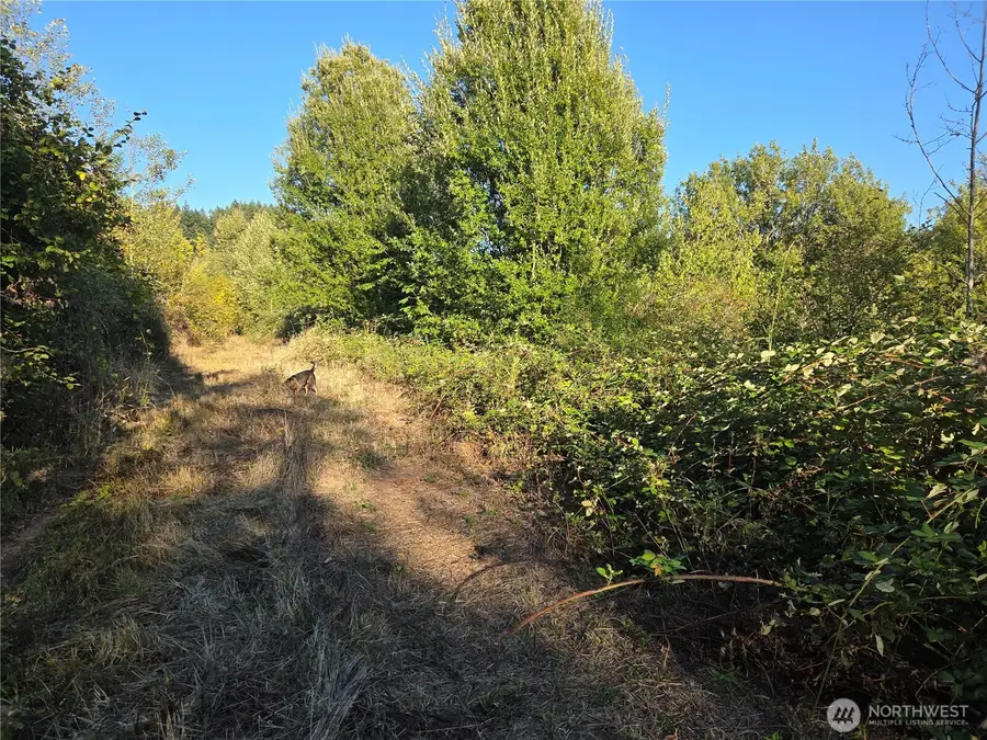 4057 Us Hwy 12 #51, Mossyrock, WA 98564 - Image #2