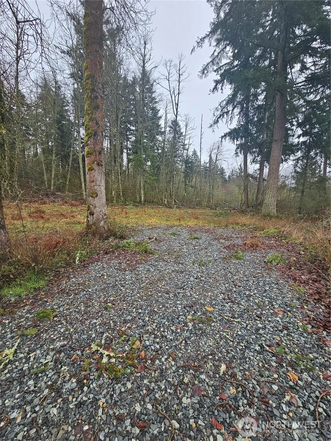 25933 96th Avenue E, Graham, WA 98338 - Image #1