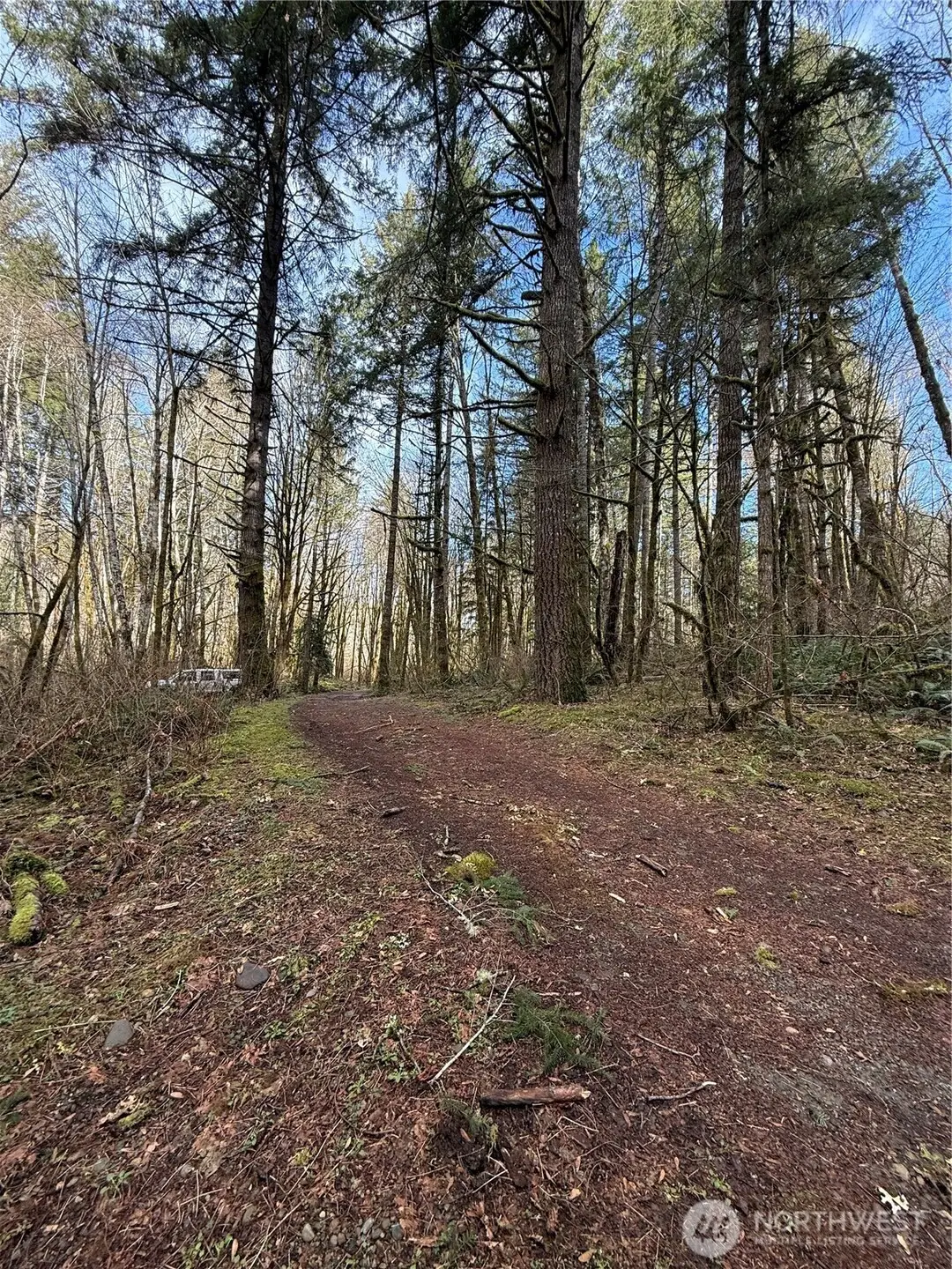 0 NE Beitzel Drive, Belfair, WA 98528 - Image #1